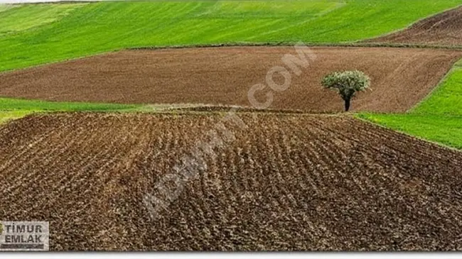 Agricultural land for sale near the highway in KIRIKLARELİ ÜSKÜP