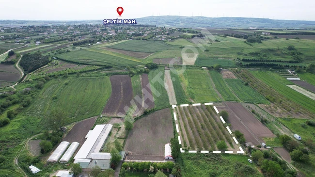 For sale: independent walnut farm land with 270 trees, area of 7276m² in SİLİVRİ YOLÇATI