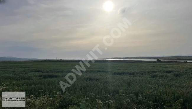 Urgent sale: Rice field land with an area of 14,800 m² in EDİRNE HAVSA NECATİYE, with a single title deed