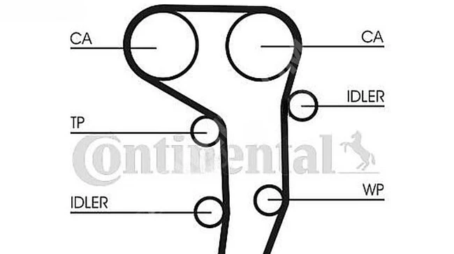 Timing belt kit EKSANTRIK for Jetta III, Golf V, Passat, Touran, and Octavia