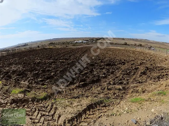 Agricultural land on the main road with an area of 9541 square meters in Silivri neighborhood Fenerköy