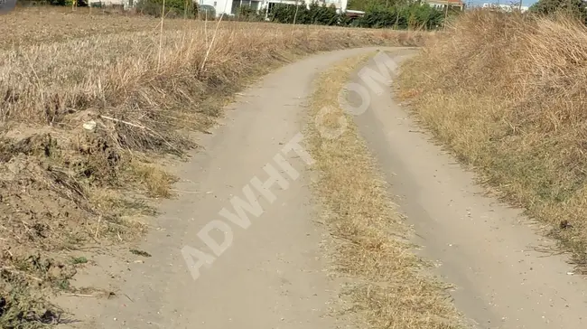 Agricultural land with an area of 2938 square meters with one deed in TEKİRDAĞ MARMARA EREĞLİSİ YAKUPLU