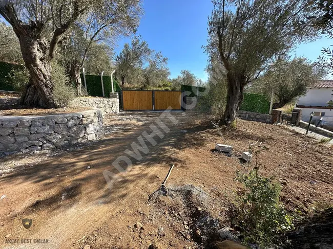 For sale: Olive land measuring 1100m² surrounded by a wall in KALABAK