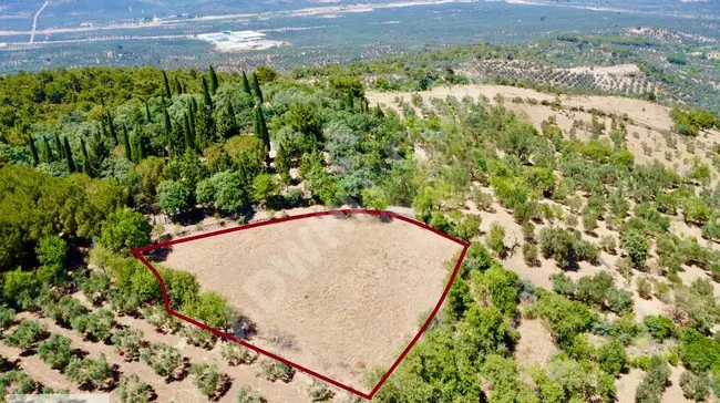 Investment farmland in a great location in the HAVRAN area - from AKÇAY BEST EMLAK