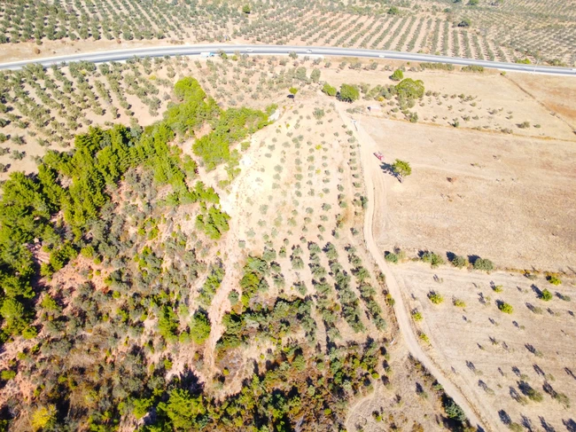 ⫷ The sole agent for sale - Olive land with an area of 11,535 square meters in "KÖYLÜCE"⫸ from AKÇAY BEST EMLAK