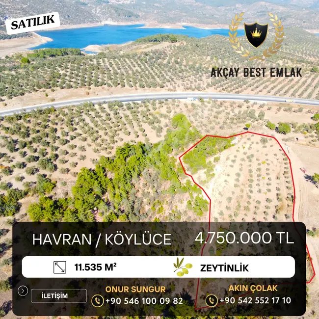 ⫷ The sole agent for sale - Olive land with an area of 11,535 square meters in "KÖYLÜCE"⫸ from AKÇAY BEST EMLAK