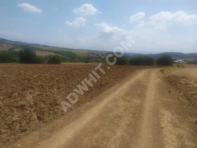 Land for sale in Bursa Yenişehir Selimiye neighborhood