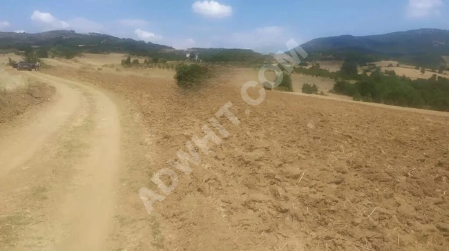 Land for sale in Bursa Yenişehir Selimiye neighborhood