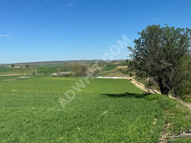  Edirne Keşan Küçükdoğanca köyü