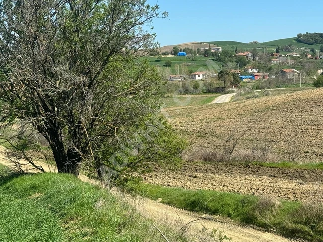  Edirne Keşan Küçükdoğanca köyü