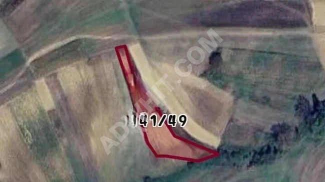 Agricultural land for sale in KOCAELİ KANDIRA