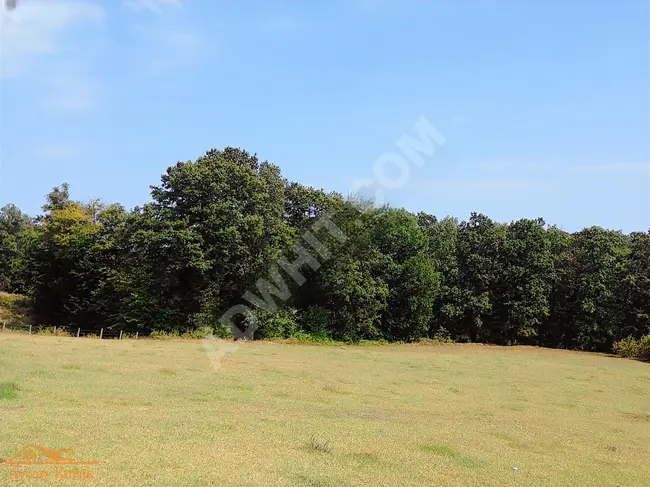 Land and garden for sale with an area of 8,633 m² in KIRKLARELİ İĞNEA from AYBARS