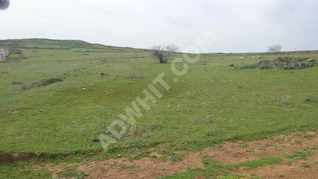 Investment land on EKİNLIK Island, MARMARA region