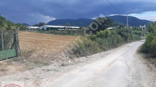 Land for sale with an area of 6,890 square meters in Yalova, in the village of Safran in Ayazma