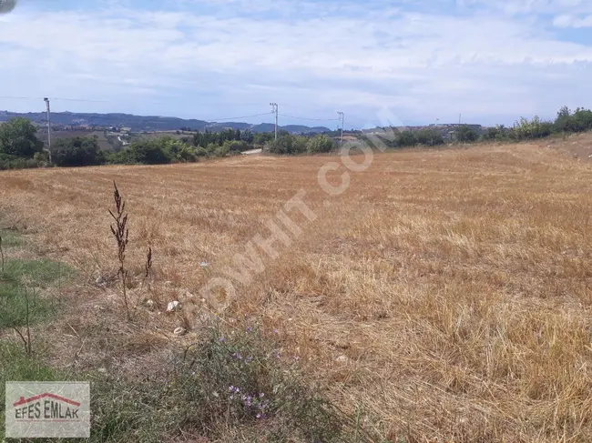 Land for sale with an area of 6,890 square meters in Yalova, in the village of Safran in Ayazma