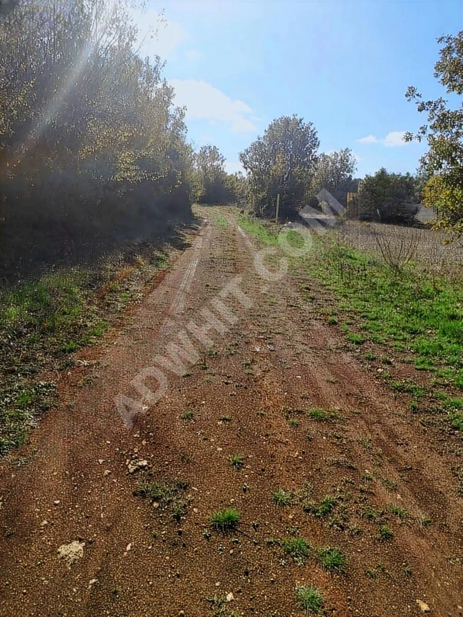 أرض زراعية مساحة 224 متر مربع اطلالة غابة AYVACIK  في TEKİRDAĞ SARAY