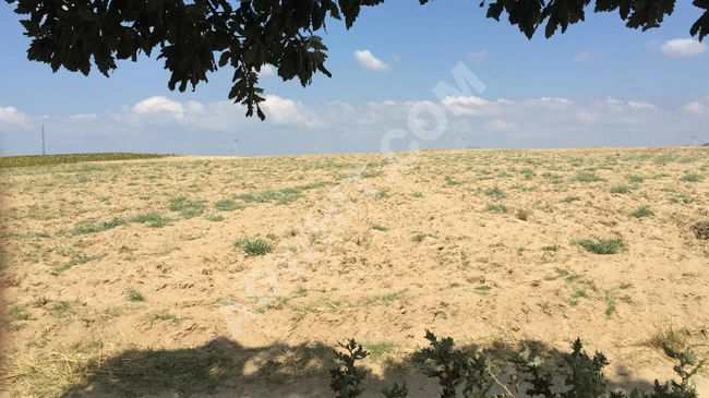 Land for sale, great investment with an area of 14 dönüm in Enez Büyük Evren