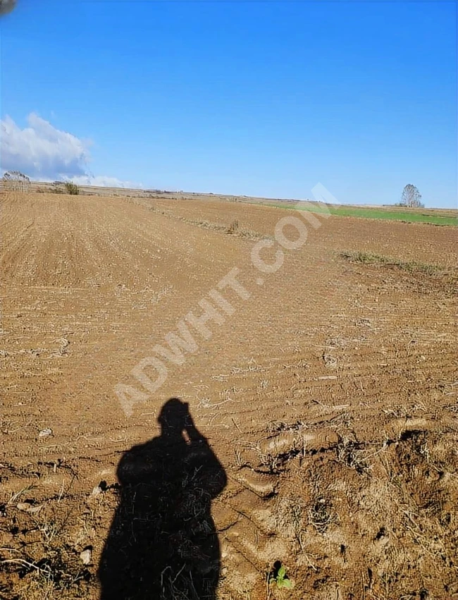 Land plots with an area of 695 and 412 square meters in the Tekirdağ Saray Çayla region.