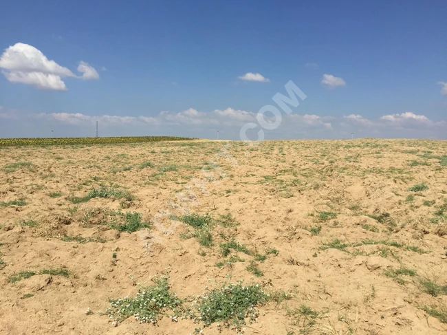 Land for sale, great investment with an area of 14 dönüm in Enez Büyük Evren