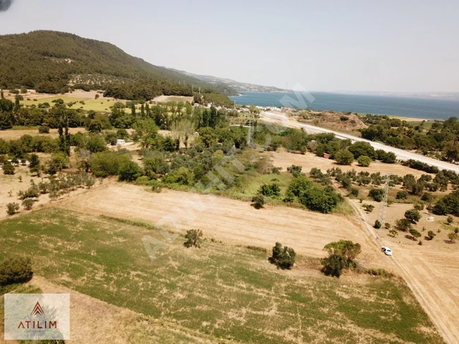 Land 100 meters from the highway, located near the entrance of ILGARDERE KÖY village in, GELİBOLU, ÇANAKKALE