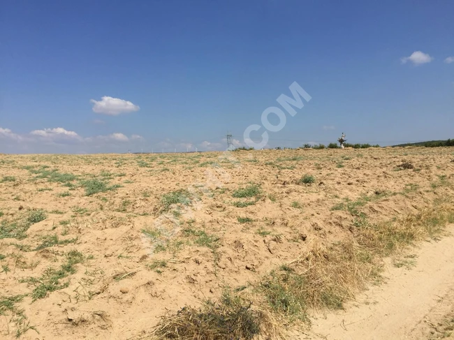 Land for sale, great investment with an area of 14 dönüm in Enez Büyük Evren