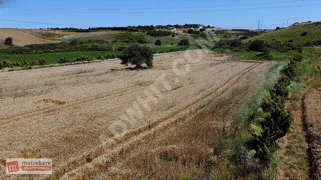 Investment agricultural land for sale 26 dönüm in the ÇATALCA - İNCEĞİZ area