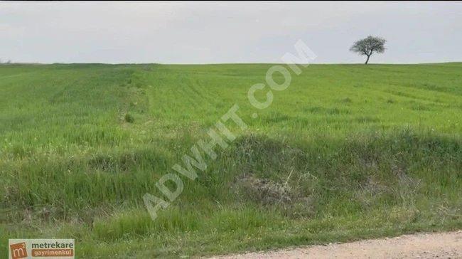 Agricultural land facing the road with an area of 705 square meters in KIRKLARELİ BABAESKİ