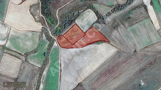 Investment land in TEKİRDAĞ, ÇERKEZMÜSELLİM neighborhood, from ATAK GAYRİMENKUL