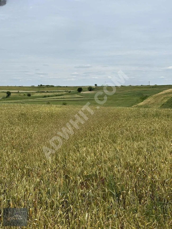 ATATÜRK MAHALLESİNDE OSB ÖNÜ FIRSAT 21.528 M2 ARAZİ