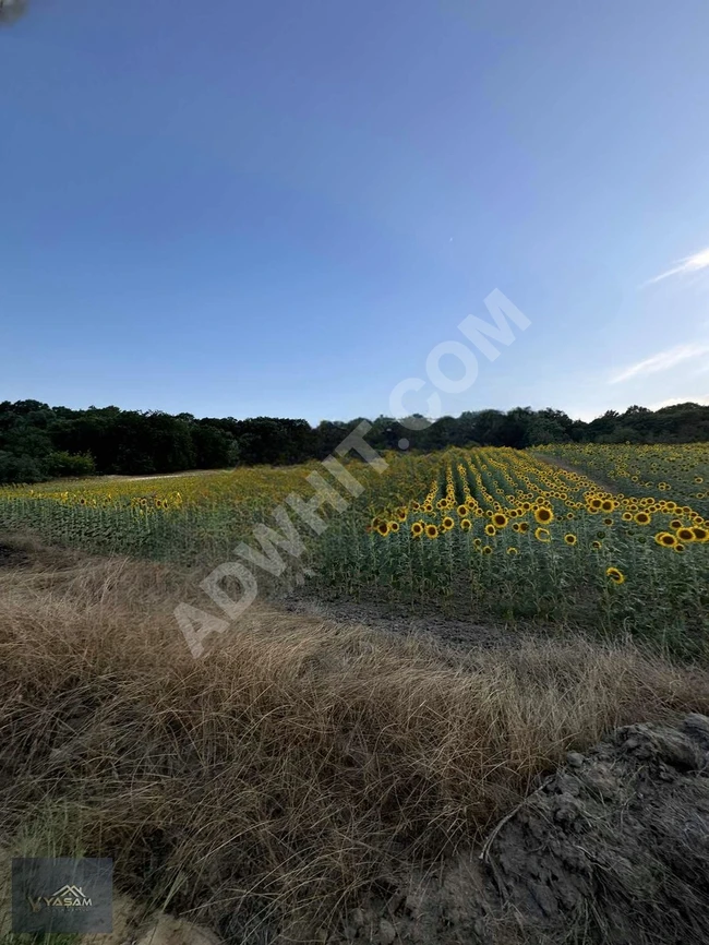 Agricultural land for sale opportunity, 300 meters from the main road in the UZUNKÖPRÜ area