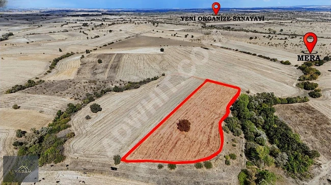 Land opportunity 11,878 m² in OSB Area - ATATÜRK District