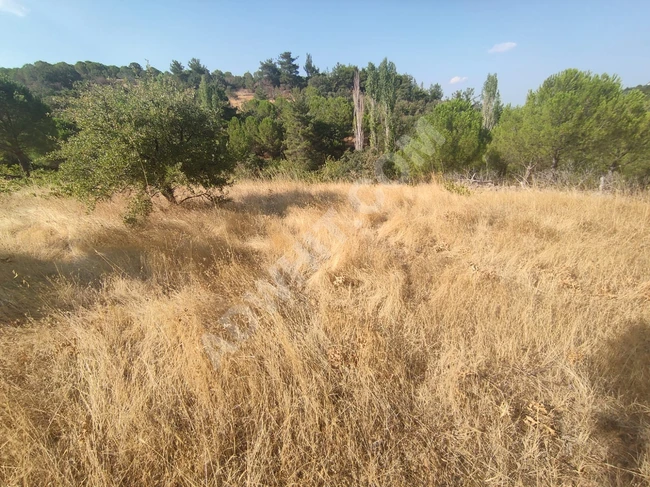 Mountain land property for sale, 2 dunams, 700 meters from HAVRAN, by AKÇAY BEST EMLAK