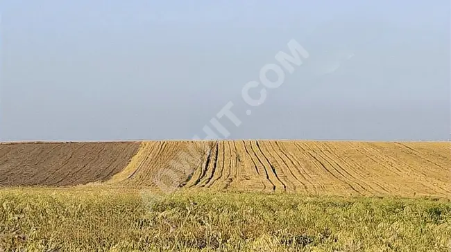 KUYULUDAN BÜYÜKÇEKMECE KAMİLOBADA (KUMBURGAZ) TEK TAPU TARLA