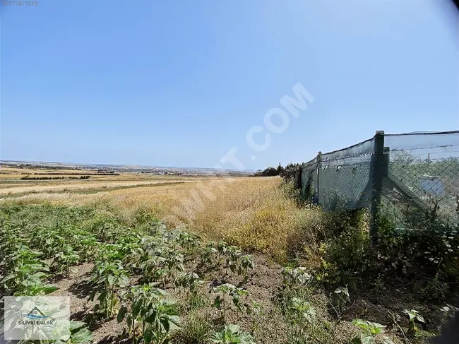 Independent plot of land with an area of 677 square meters for sale in the SİLİVRİ BÜYÜKKILIÇLI neighborhood