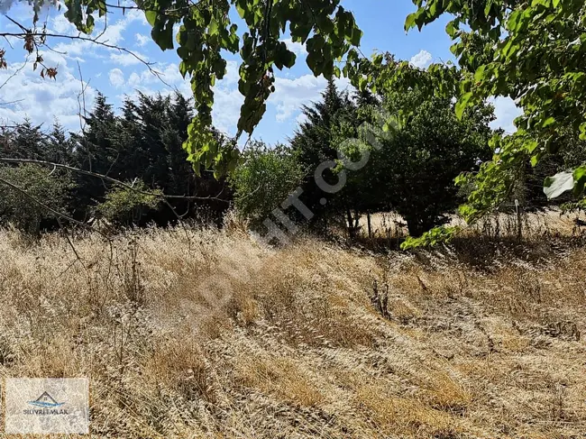 Land for sale overlooking the road | Equipped with electricity and a water well | Sea view in ALİPAŞA