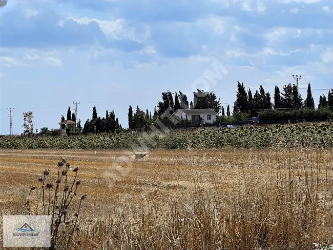 ALİPAŞA'DA YOLA CEPHE ELEKTRİK VE SU KUYUSU DENİZ MANZARALI