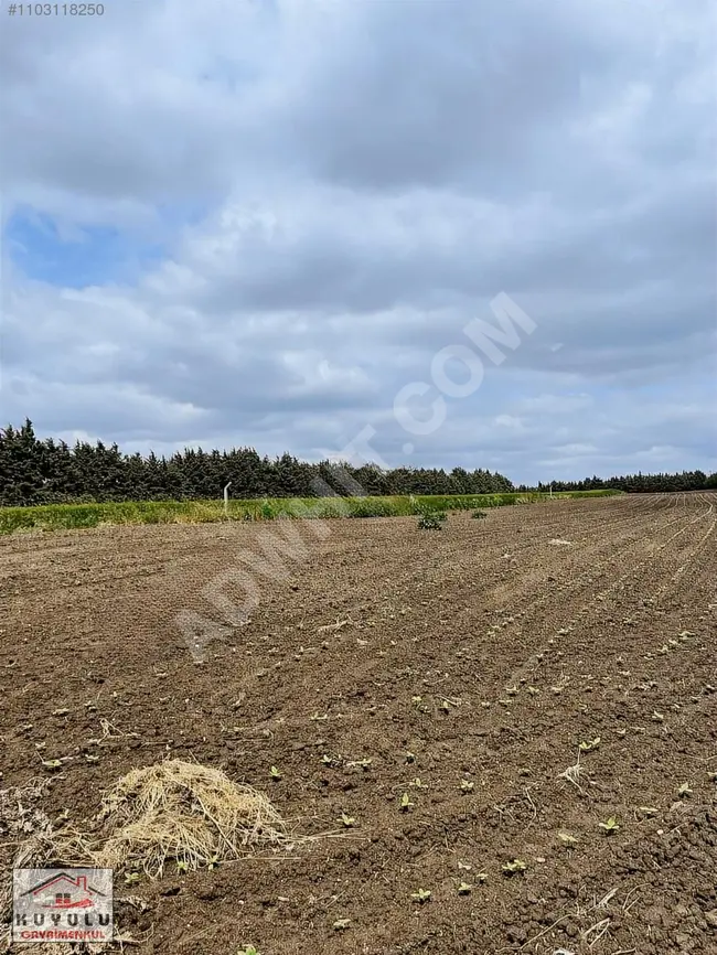 Land for sale in SİLİVRİ SEYMEN - Frontage on asphalt road - With a single title deed