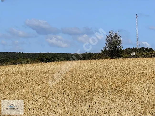 Agricultural land for sale at a reasonable price in the village of SERGEN, in VİZE, with an area of 4950 square meters