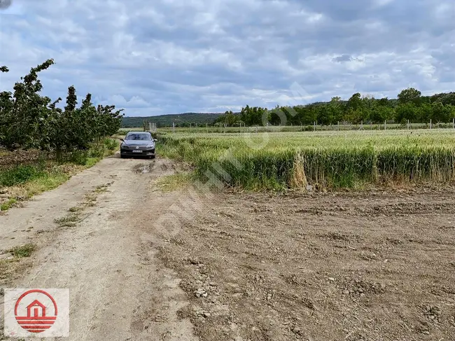 Agricultural land with an area of 311 m² on the front of an asphalt road in SÜLEYMANPAŞA AHMEDİKLİ