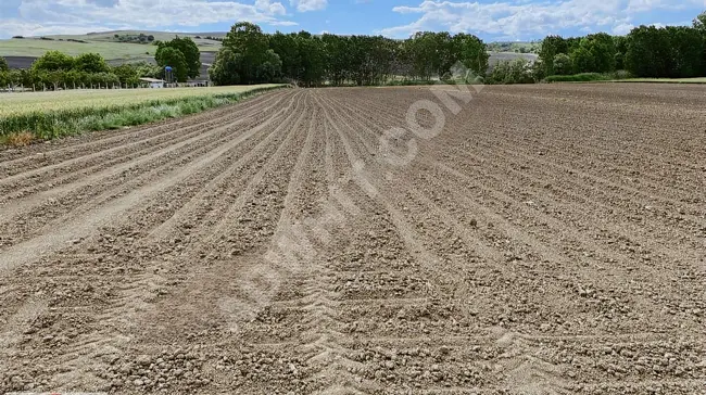 Agricultural land with an area of 311 m² on the front of an asphalt road in SÜLEYMANPAŞA AHMEDİKLİ