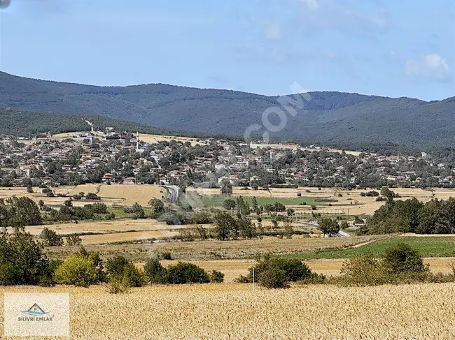 Agricultural land for sale at a reasonable price in the village of SERGEN, in VİZE, with an area of 4950 square meters