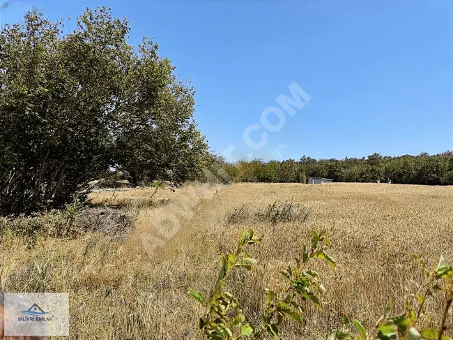 Agricultural land for sale at a reasonable price in the village of SERGEN, in VİZE, with an area of 4950 square meters