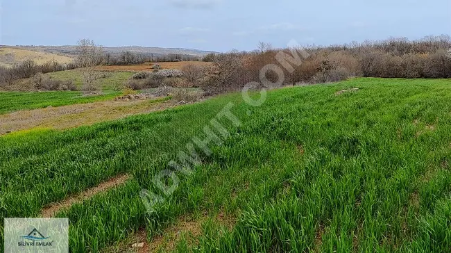 KIRKLARELİ MERKEZ ÇAYIRLI KÖYÜ TEK TAPULU MUSTAKİL TARLA