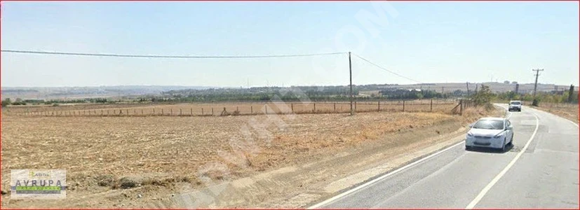 Land for sale with an area of 4262 square meters facing the asphalt-paved road - by AVRUPA GAYRİMENKUL