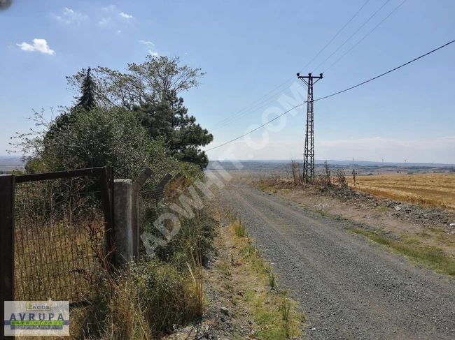 Land for sale with an area of 7700 square meters in the FENER KARASİNAN area - from AVRUPA GAYRİMENKUL