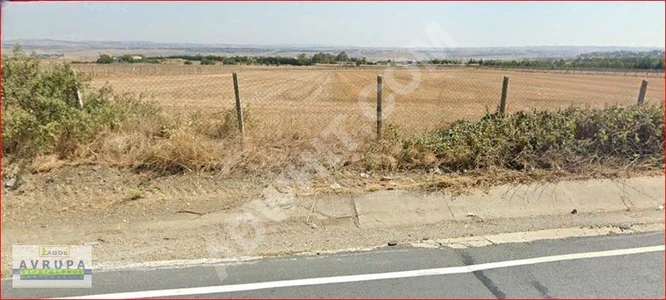 Land for sale with an area of 4262 square meters facing the asphalt-paved road - by AVRUPA GAYRİMENKUL