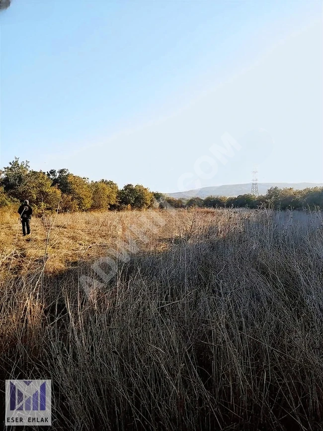 A plot of land with an area of 1978 m² with a single title deed and a private road, nestled in nature in the ÇELTİK area