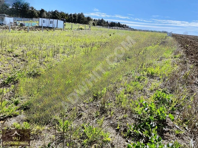 An unmissable opportunity, a plot of land 507 m² within the implementation of the land division plan