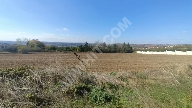 Lands prepared for construction in Selimpaşa start from an area of 1000 square meters