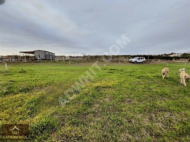 Land with an area of 250 square meters for sale in Silivri Fenerköy